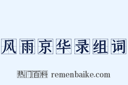 风雨京华录组词是什么意思的图片